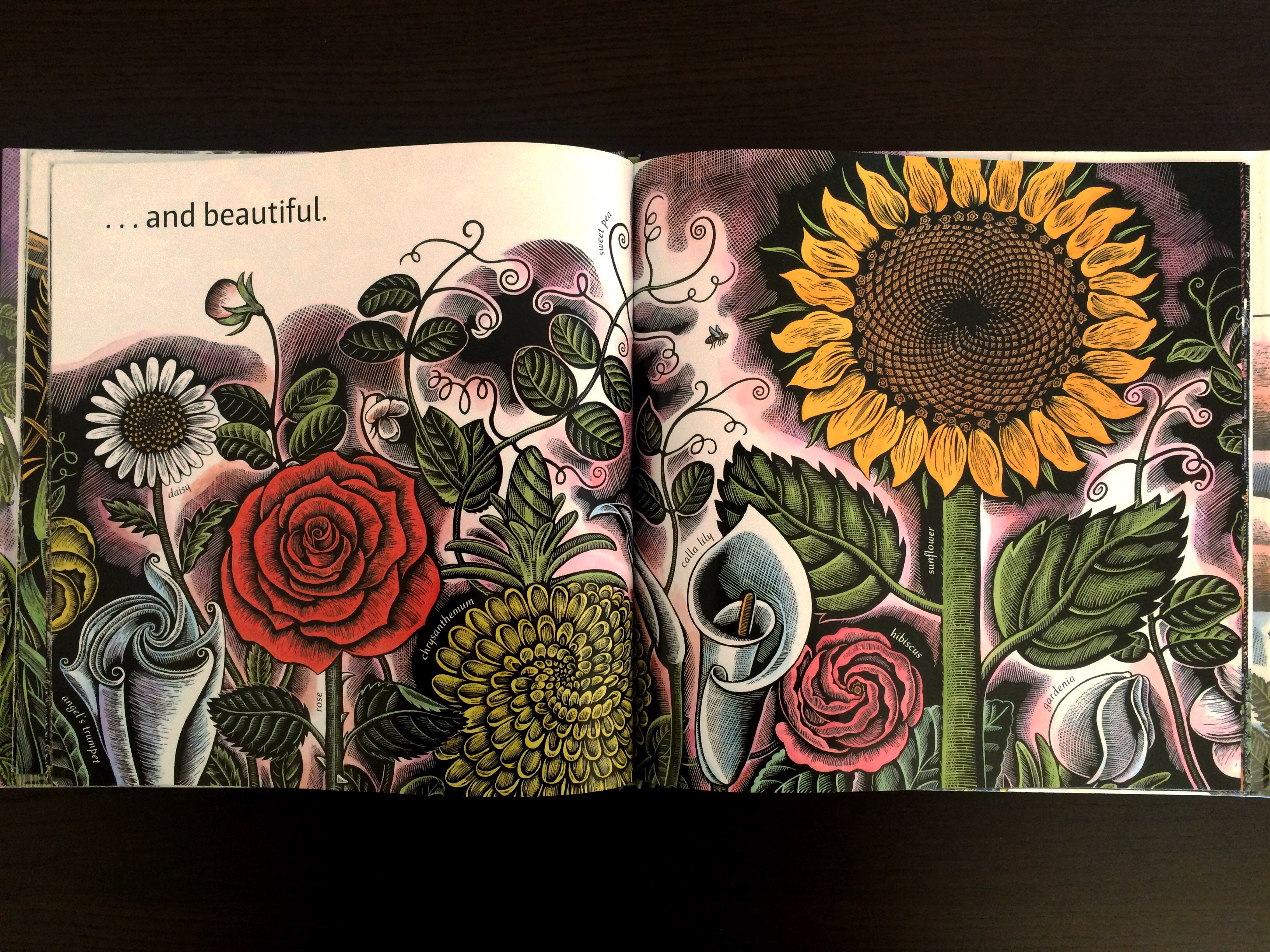 Sunday Book Club: Swirl by Swirl – Spirals in Nature – Our